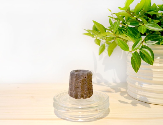 Shampooing solide au chocolat