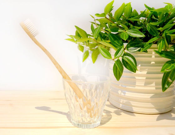 Brosse à dent en bambou adulte - poils médium blancs