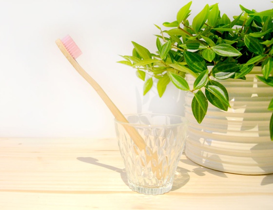 Brosse à dent en bambou adulte - poils souples roses