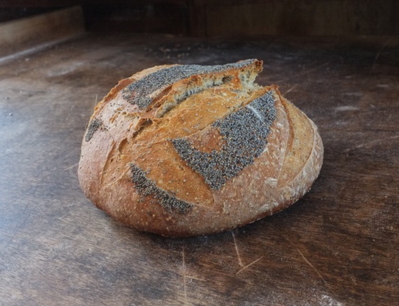 Pain aux graines de pavot 500g bio & local