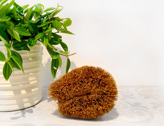 Brosse coco multi-usage