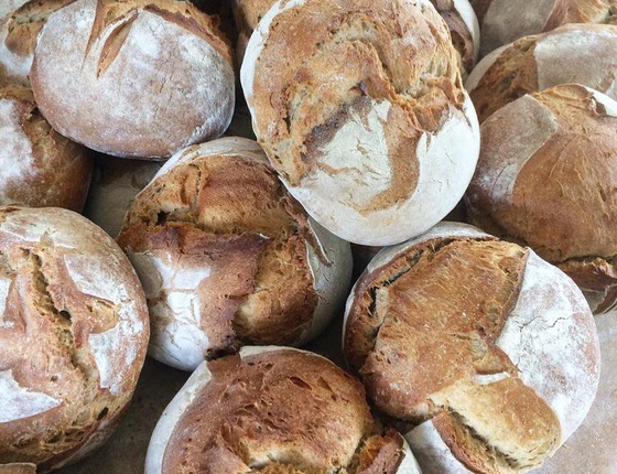 Pain aux graines de tournesol 500g bio & local