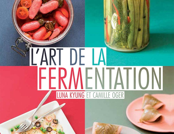 Livre « L'art de la fermentation »