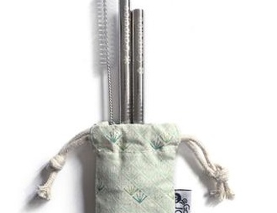 Kit 2 pailles en inox pour smoothies
