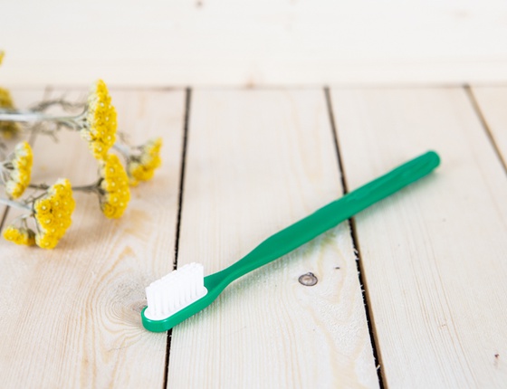 Brosse à dent à tête rechargeable sapin - poils souples