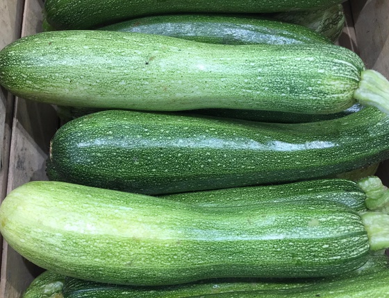 Courgettes bio & locales