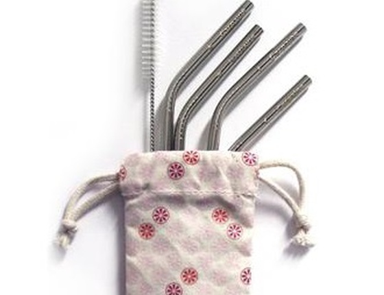 Kit 4 pailles en inox coudées