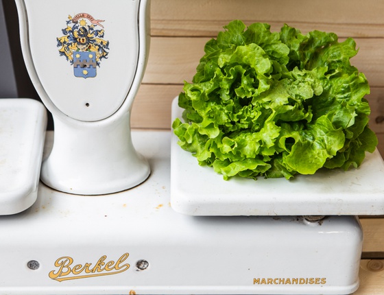 Salades bio & locales