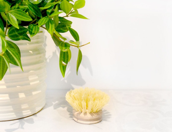 Recharge brosse à vaisselle en fibre