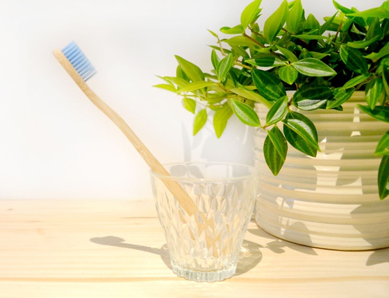 Brosse à dent en bambou adulte - poils souples bleus