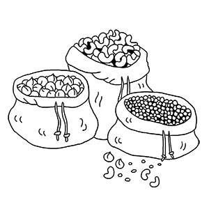 Légumes secs