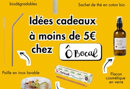 Liste de Noël pour des cadeaux écolos chez Ô Bocal