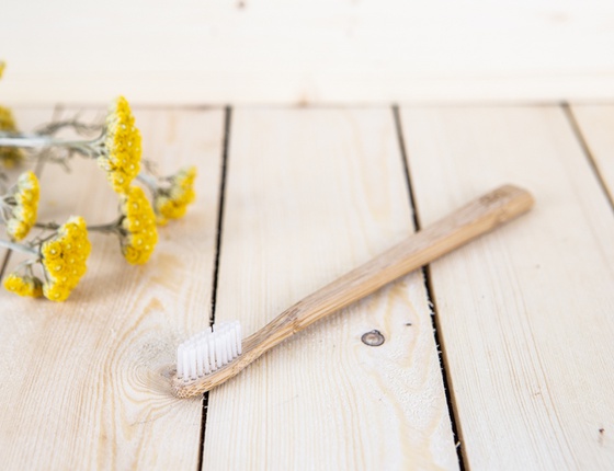 Brosse à dents en bambou adulte - poils souples transparents