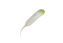 Radis Daïkon bio & local