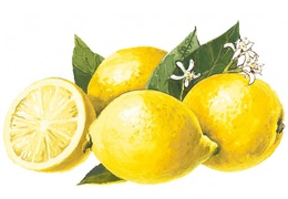 Sirop de citron bio
