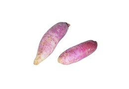 Radis Rose "de Chine" bio & local