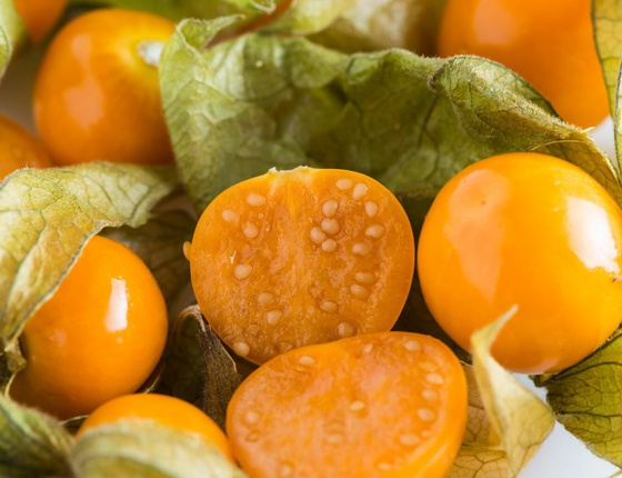 Physalis bio & locaux