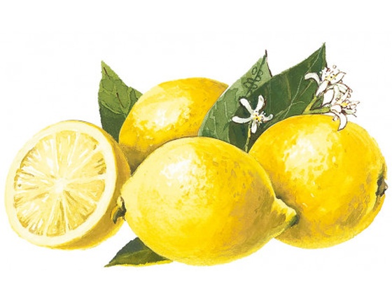 Sirop de citron bio