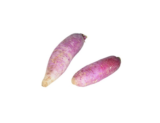 Radis Rose "de Chine" bio & local