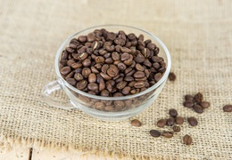 Café décaféiné du Mexique en grains