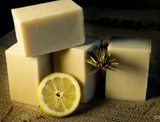 Savon solide vaisselle & lessive bio