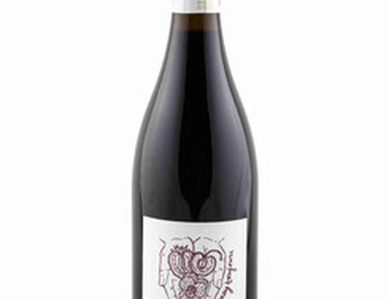 Vin Domaine Landron Chartier rouge "Gamay toujours" bio & local