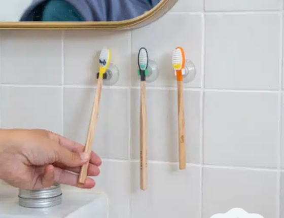 Porte brosse à dents ventouse - clips colorés
