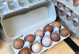 Boîte à œufs en bioplastique beige - 10 oeufs
