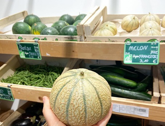 Melon bio & local