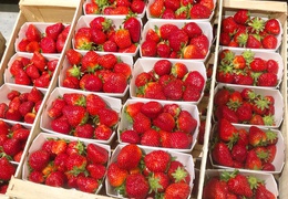 Fraises bio & locales