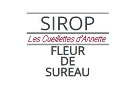 Sirop de fleur de sureau local