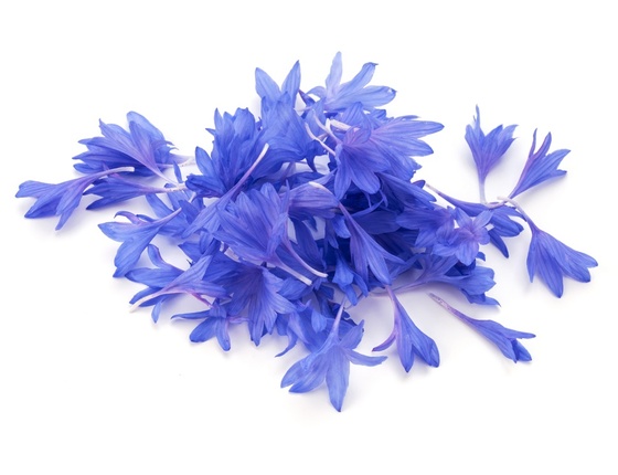 Eau florale de bleuet bio