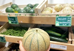 Melon bio & local