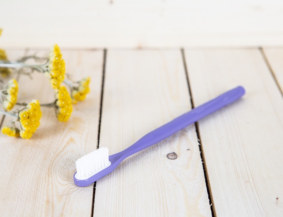 Manche de brosse à dents Lamazuna violet
