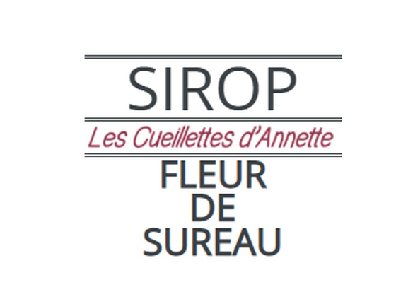 Sirop de fleur de sureau local