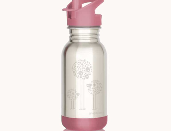 Bouteille inox enfant Gaspajoe 400ml - oiseaux