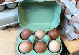 Boîte à œufs en bioplastique vert - 6 oeufs