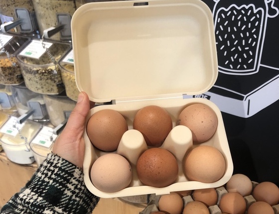Boîte à œufs en coquilles d'œufs beige - 6 oeufs