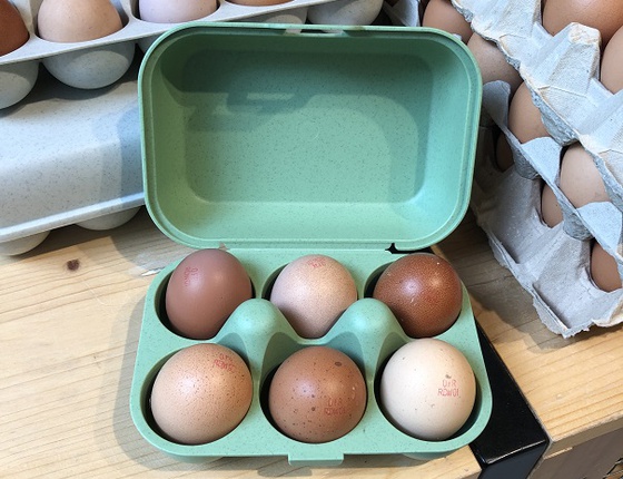 Boîte à œufs en bioplastique vert - 6 oeufs